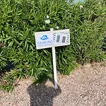 Villa Mare Azzurro Campofelice Di Roccella
